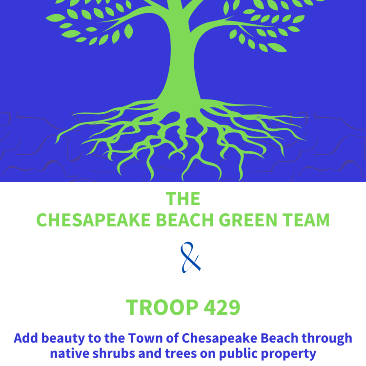 Chesapeake Beach Green Team
