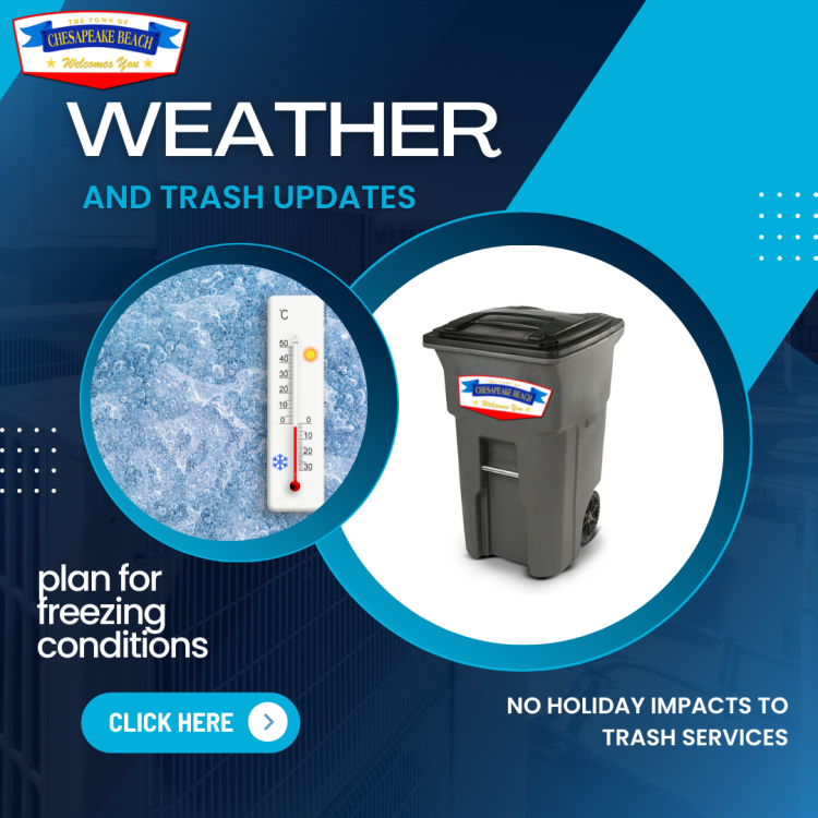 Weather and Trash Services