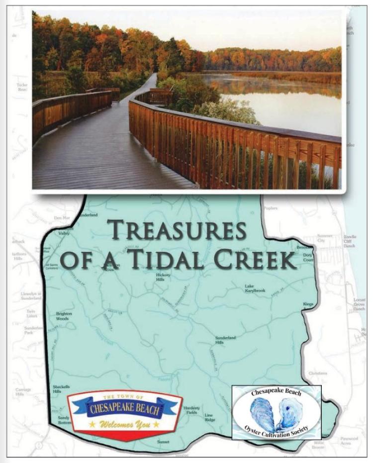 Tidal Creek Booklet