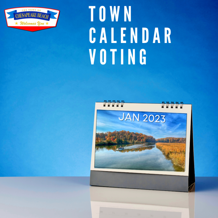 Town Calendar Voting