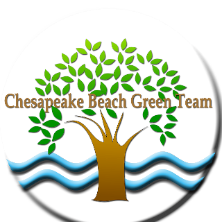 Green team logo