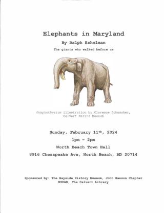 Elephants in Maryland