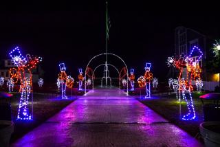 Image of the Towns lights